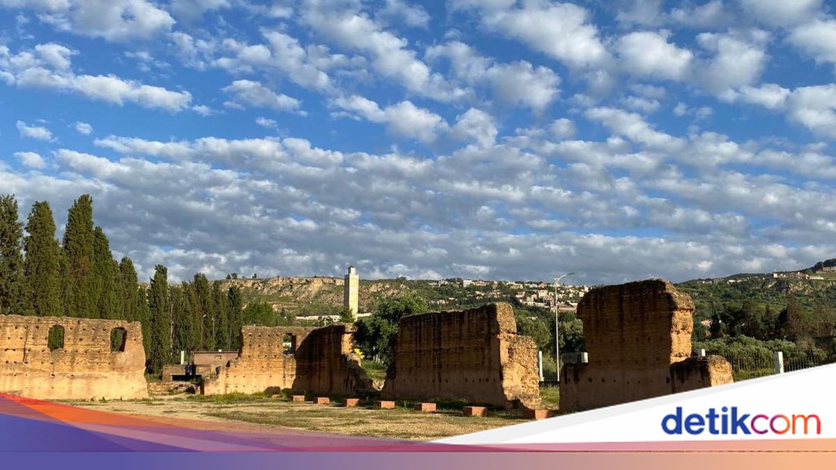 Journeying Through the Savannah Towards 'Pearl of Maghreb' in Algeria