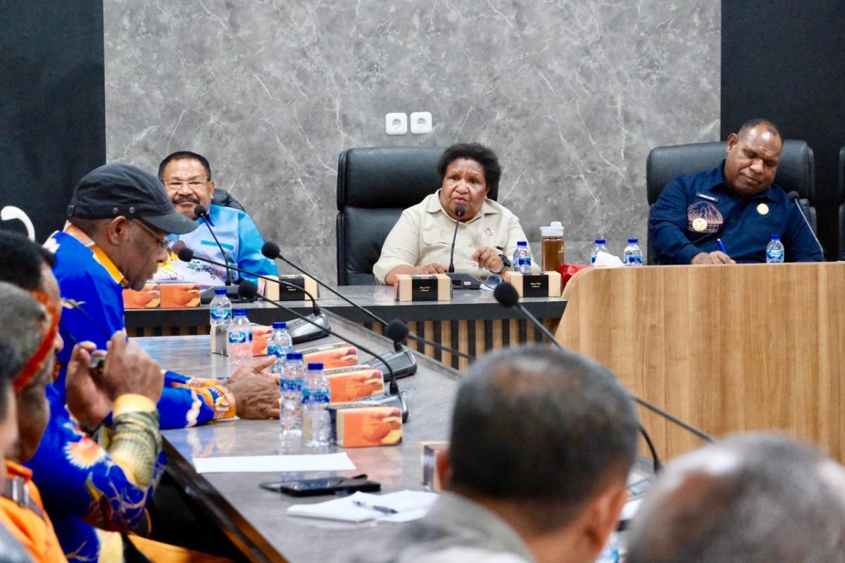Central Government Fully Committed to Restoring Security in Wamena