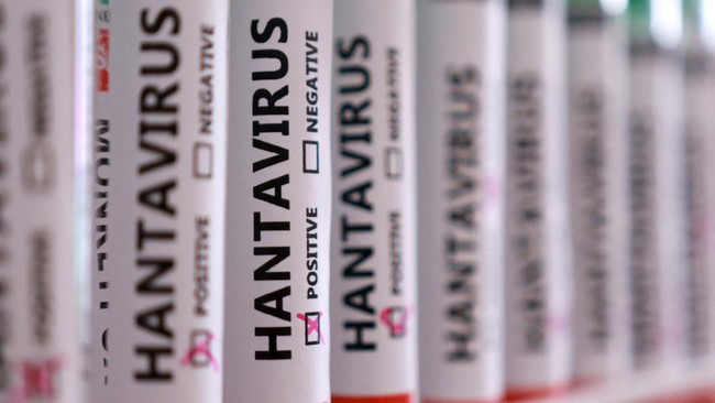 Hantavirus Causes Global Concern: Is There a Vaccine Available?