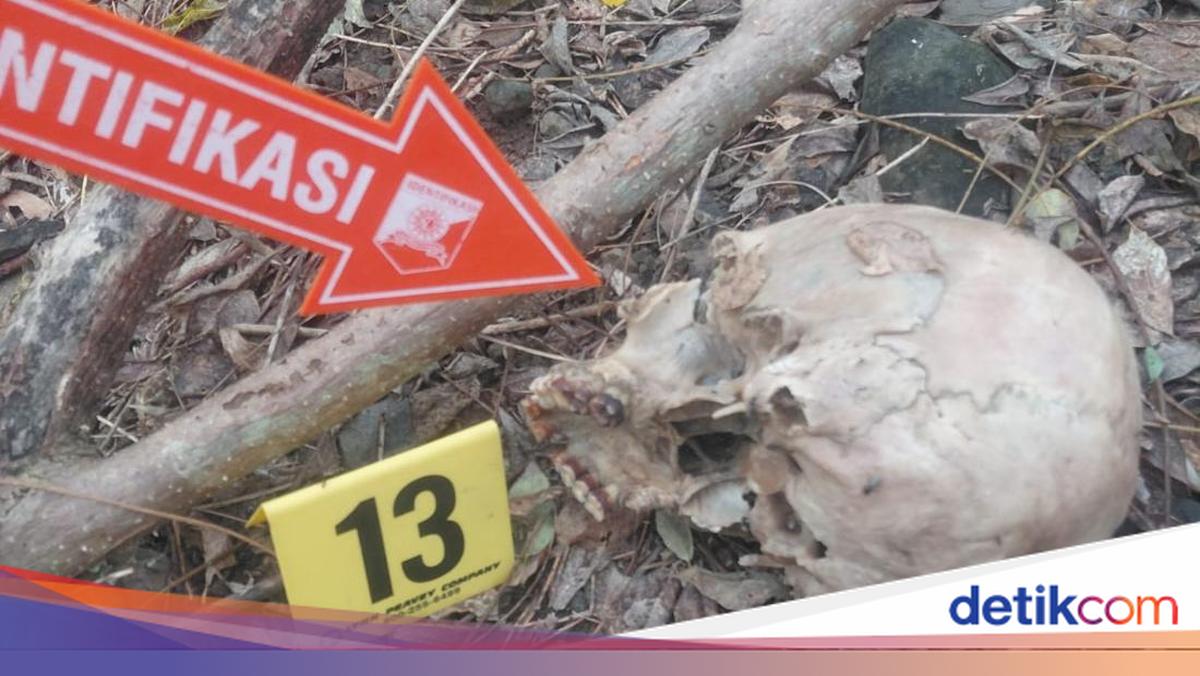 Man Found Reduced to a Skull in NTT: Turns Out He Was Murdered by His Three Sons