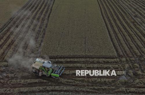 Flooding Damages Rice Fields: 73 Hectares of Crops Lost in Kendari
