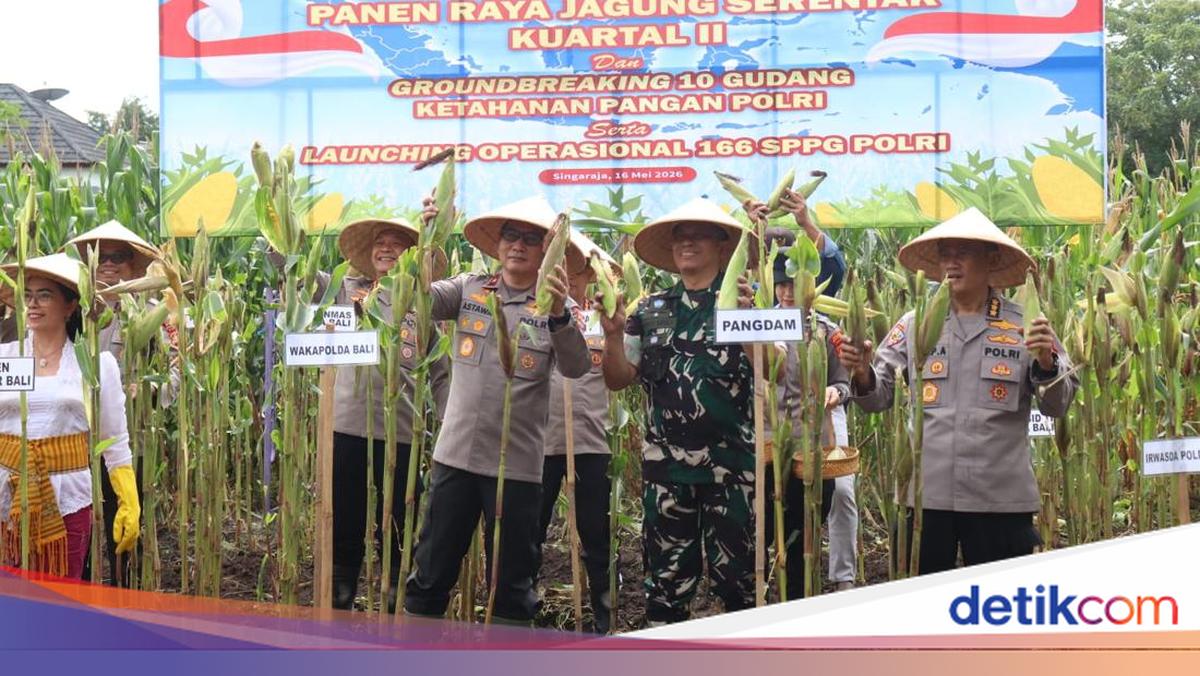 Gianyar Police Harvest Corn, Supporting Food Security and the MBG Programme