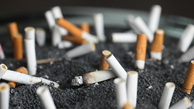 The Paradox of Indonesia's Tobacco Industry: A Major Economic Driver Facing Increasing Challenges