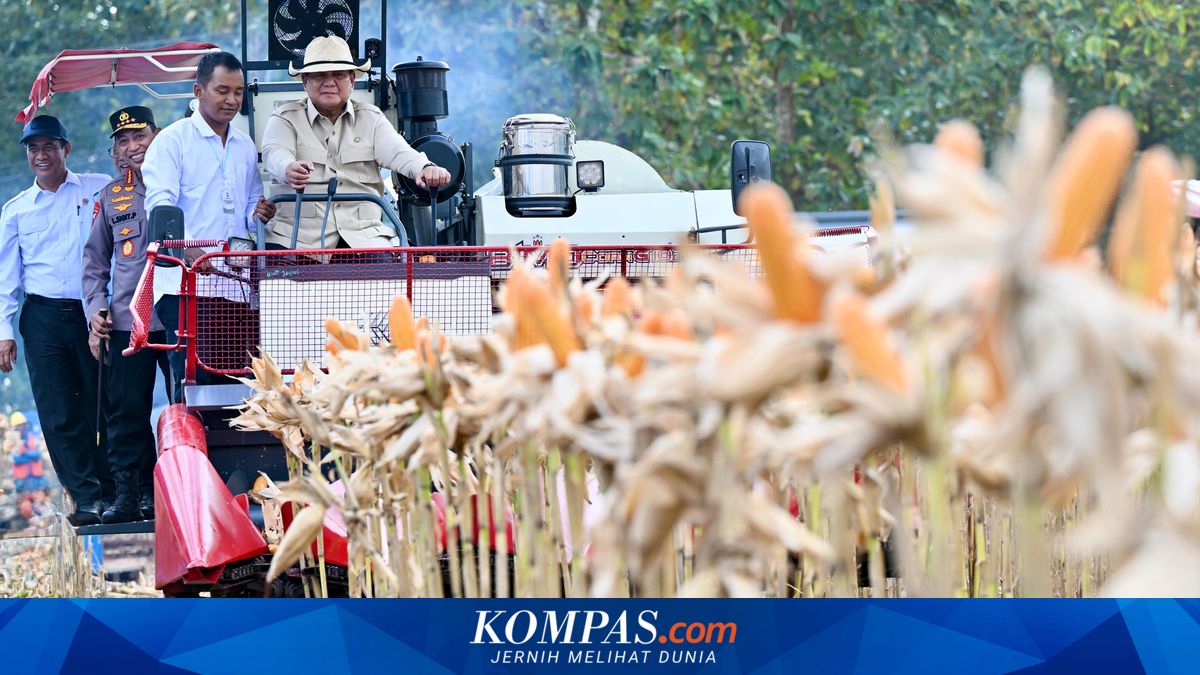 Prabowo Inspects Corn Harvest: Drives 'Combine Corn Harvester' Tractor, Wears Cowboy Hat