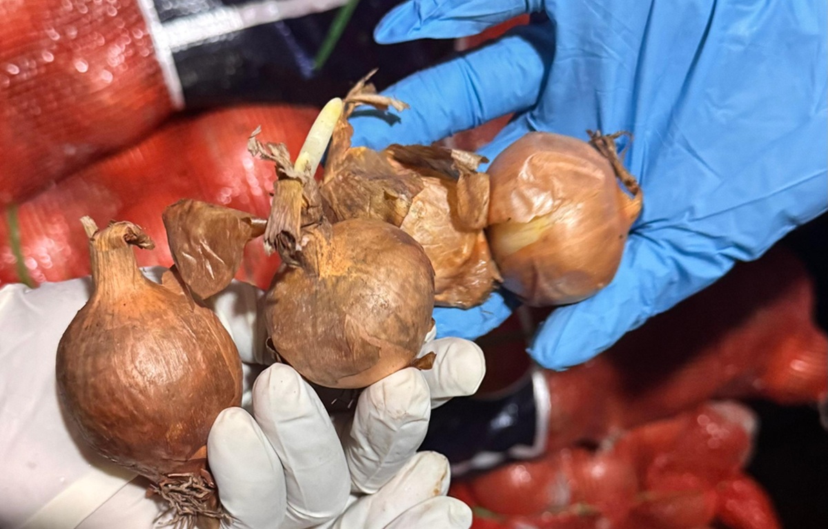 42 Tonnes of Illegal Food Products from China and the Netherlands to be Destroyed Soon