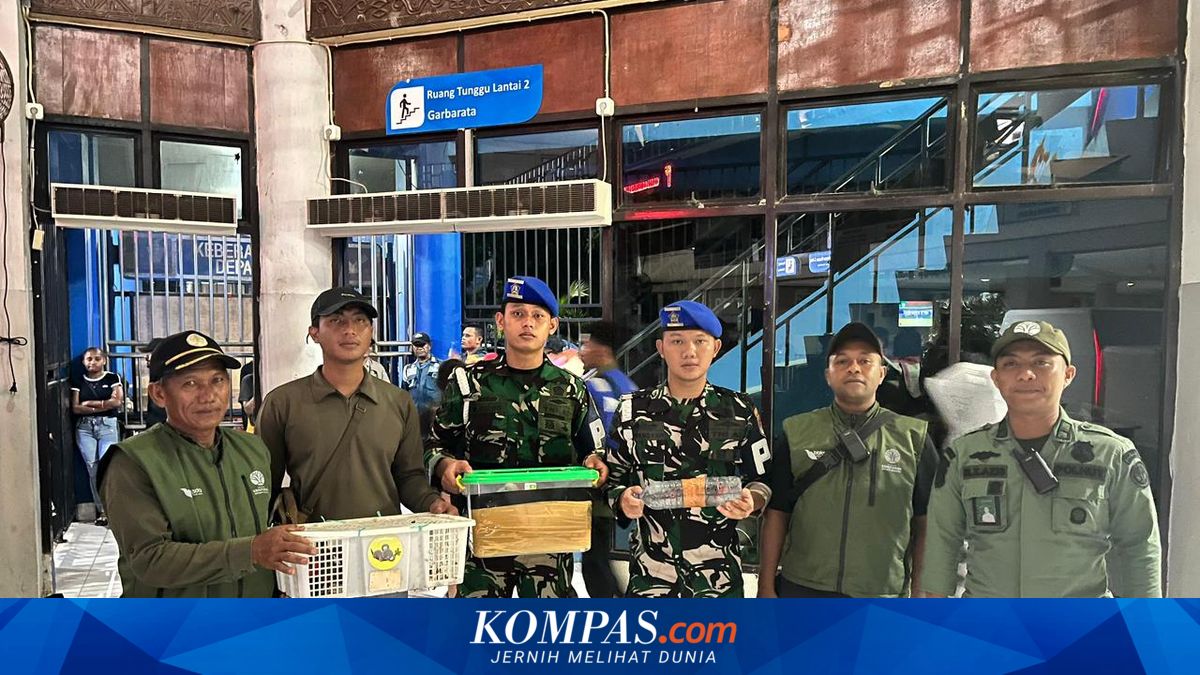 Indonesian Navy Thwarts Smuggling of Eight Rare Birds on KM Gunung Dempo