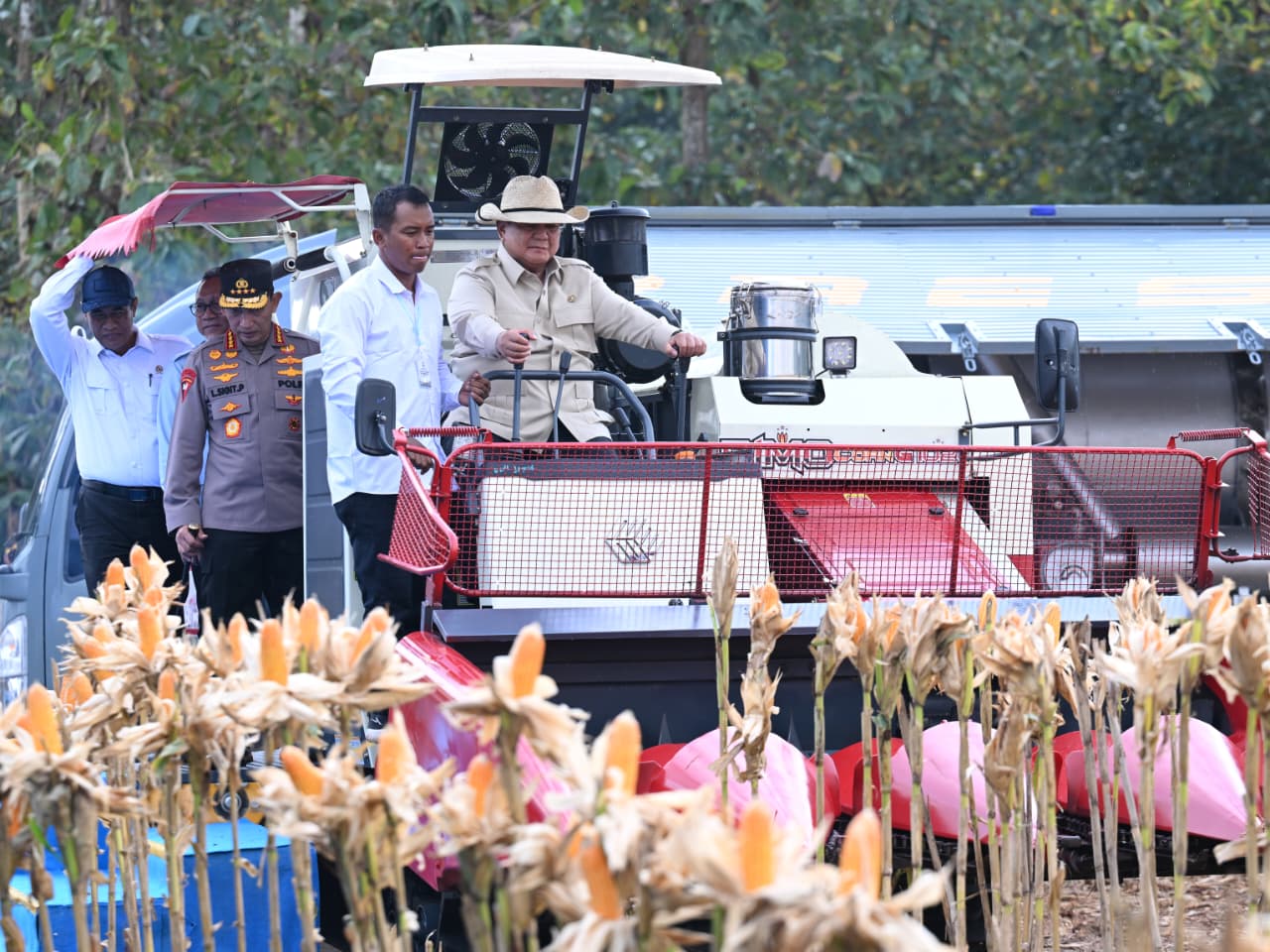 State Secretary Says Rice Reserves Reach 5.3 Million Tons