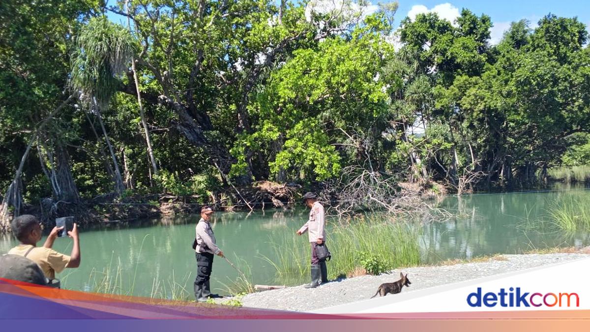 Man Who Was Attacked by a Crocodile in Muara Naus Amfoang NTT Found Dead
