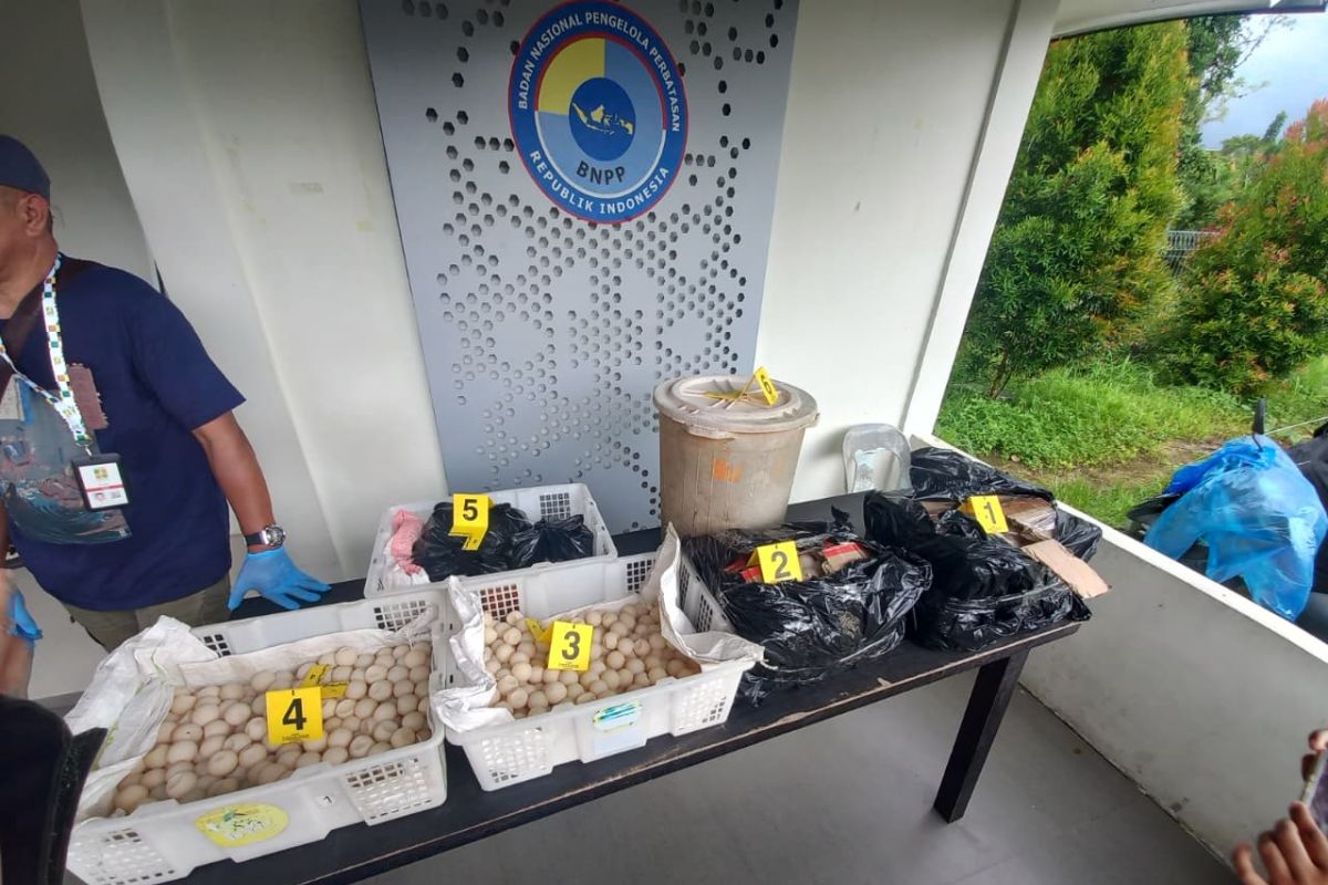 Border task force foils smuggling of 2,253 turtle eggs