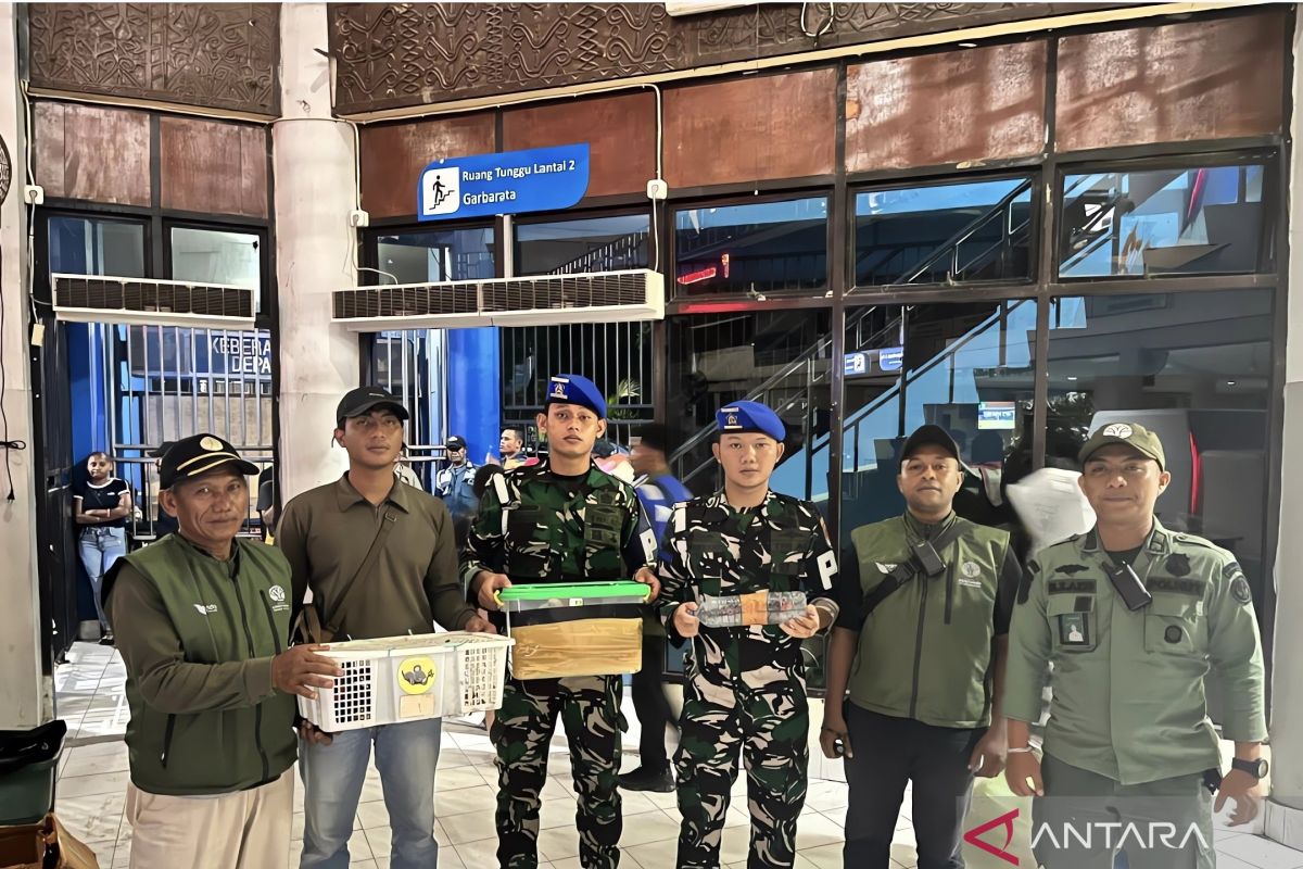 Indonesian Navy and BBKSDA Foil Smuggling of Eight Animals in Sorong