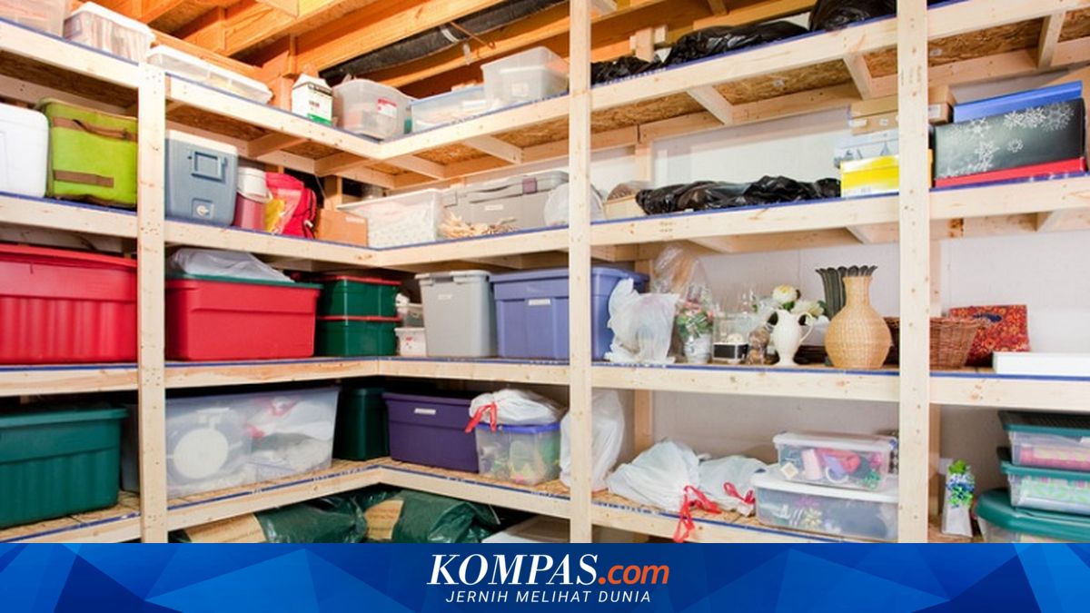 Be Aware of Hantavirus: Here's How to Prevent Rats from Entering Your Home