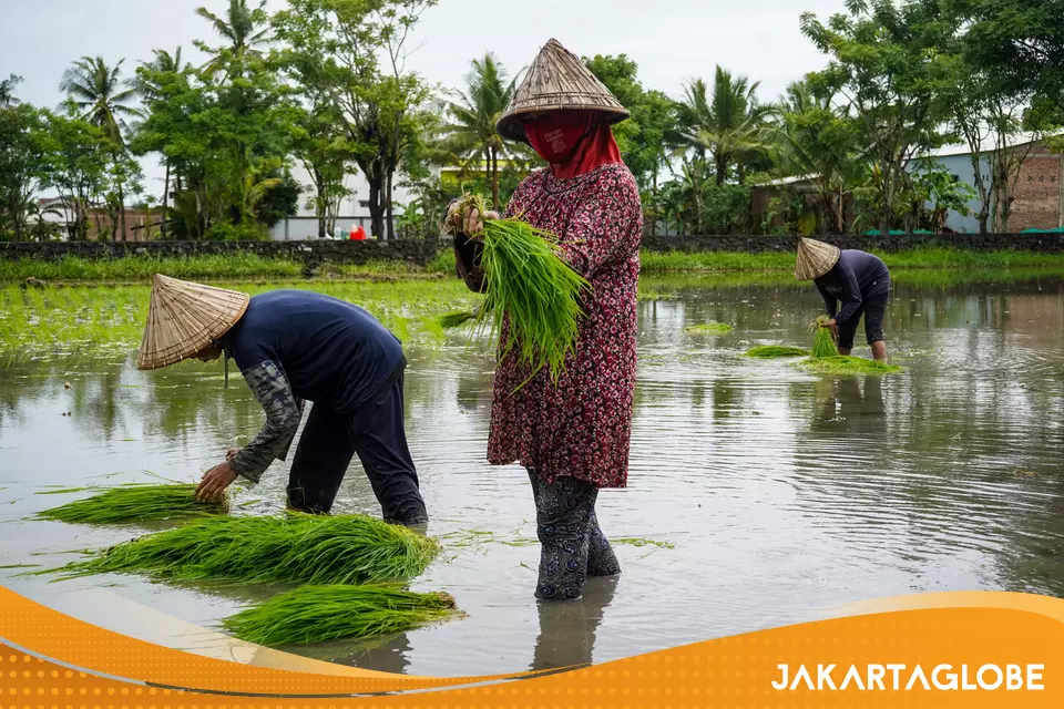 Activists Criticize Prabowo's Claim Villagers Are Unaffected by Weak Rupiah