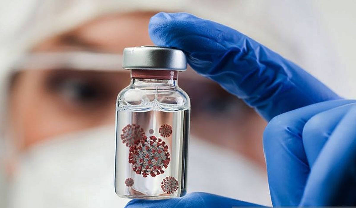 Hantavirus Reaches Jakarta: 3 Positive, 6 Suspected Cases