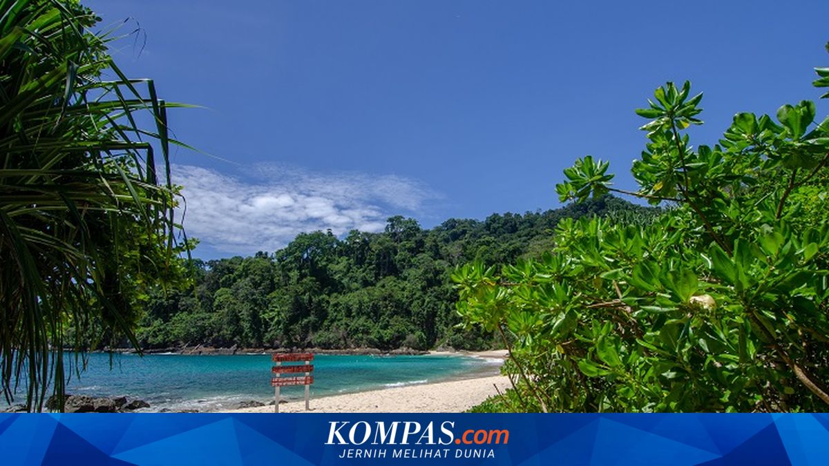 Banyuwangi Swamped by Tourists During Long Weekend, Hotels and Homestays Reach Full Capacity