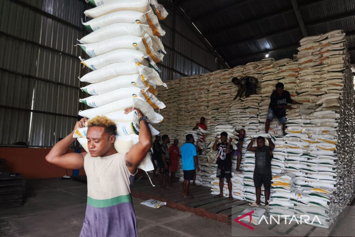 Rice Breaks Through Isolation and Vulnerability in Papua