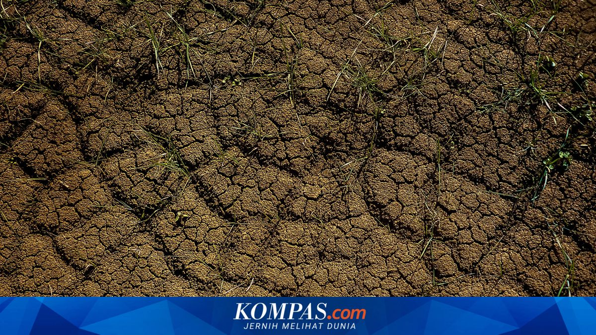 Jakarta Disaster Management Agency Warns of Landslide Risks, Outlines Prevention Measures