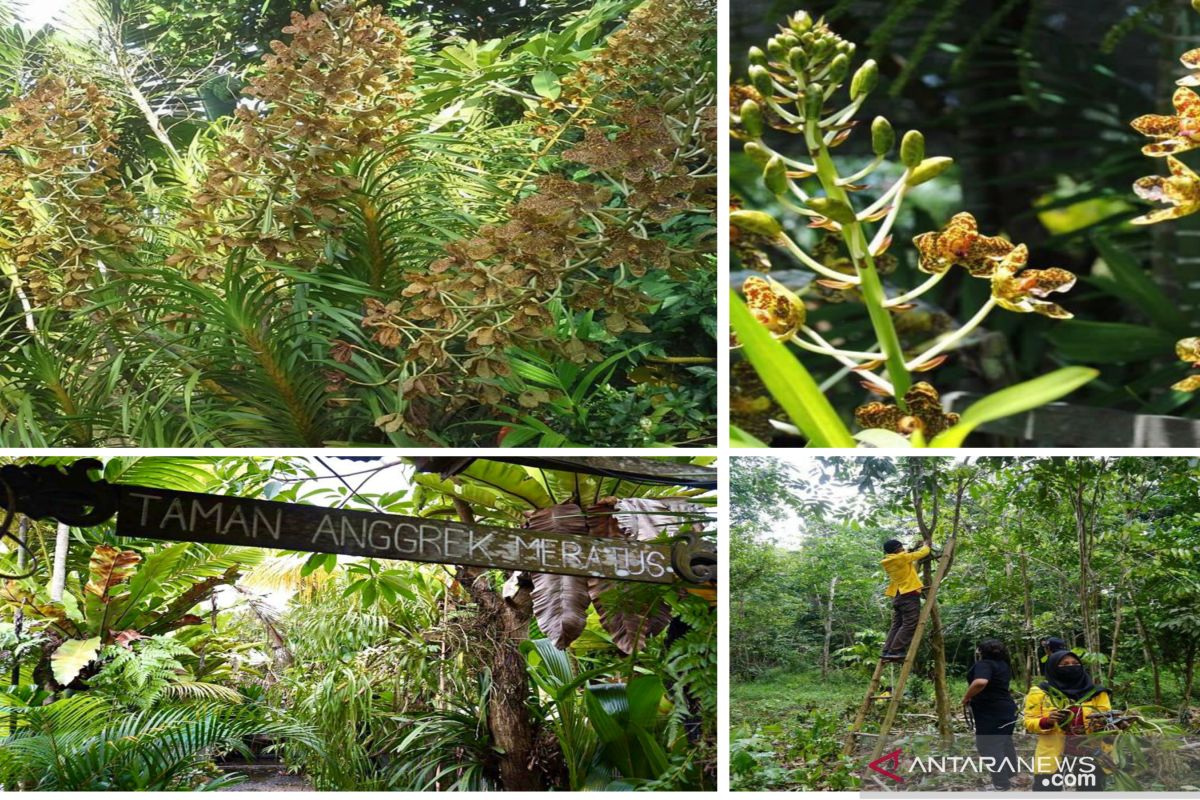 Reading the Biodiversity of the Archipelago Before It Vanishes