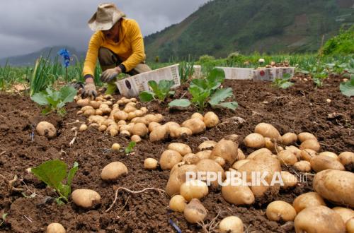 Does a Weakening Dollar Not Affect Villages? Here Are the Facts