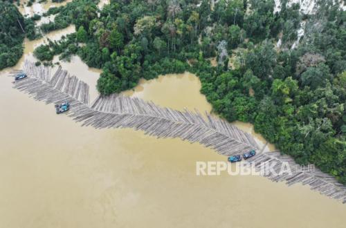 Illegal Timber Supply Chain Uncovered, Thousands of Logs Seized