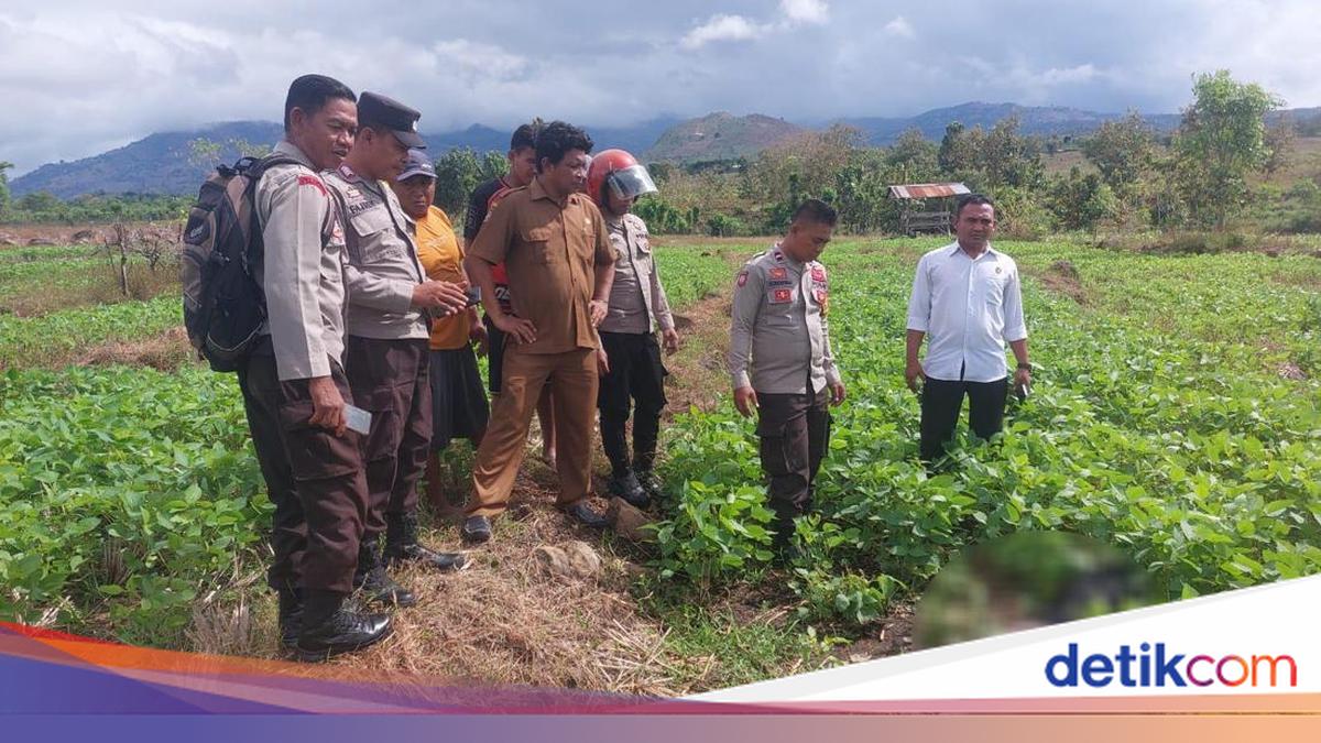 Shock as Vocational Student Found Dead with Charred Body in Bima Rice Fields