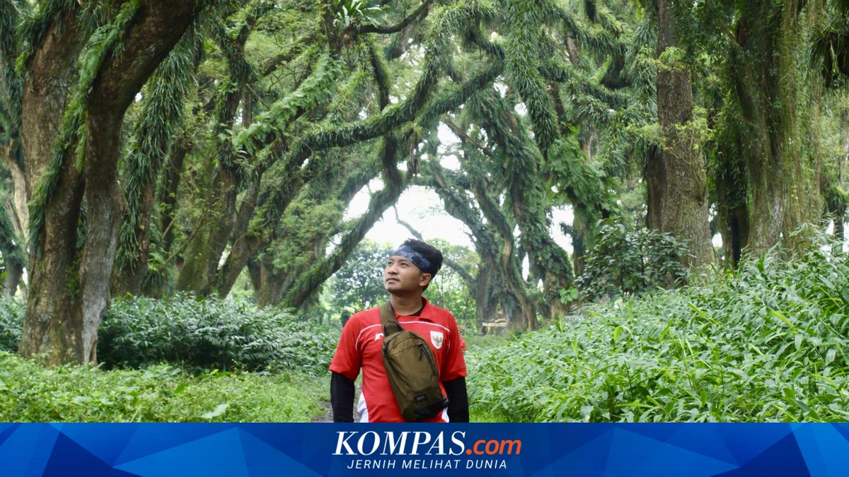 Beyond Beaches: Forests and Cities in Banyuwangi Crowded with Tourists During Long Weekend