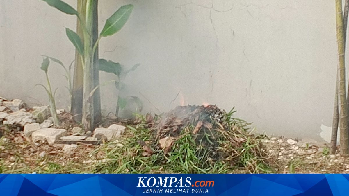 Burning Waste That Disturbs Neighbours Could Lead to Criminal Charges