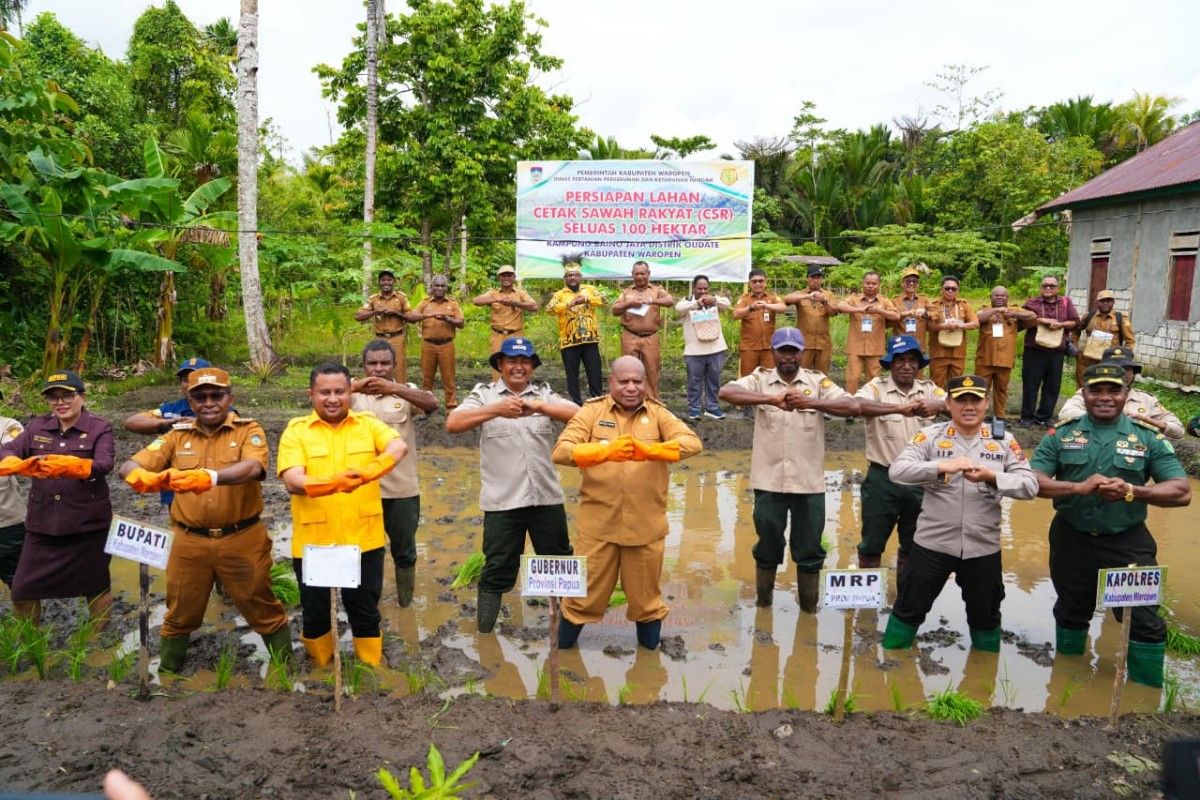 Papua Provincial Government Accelerates 100-Hectare Rice Field Development in Waropen