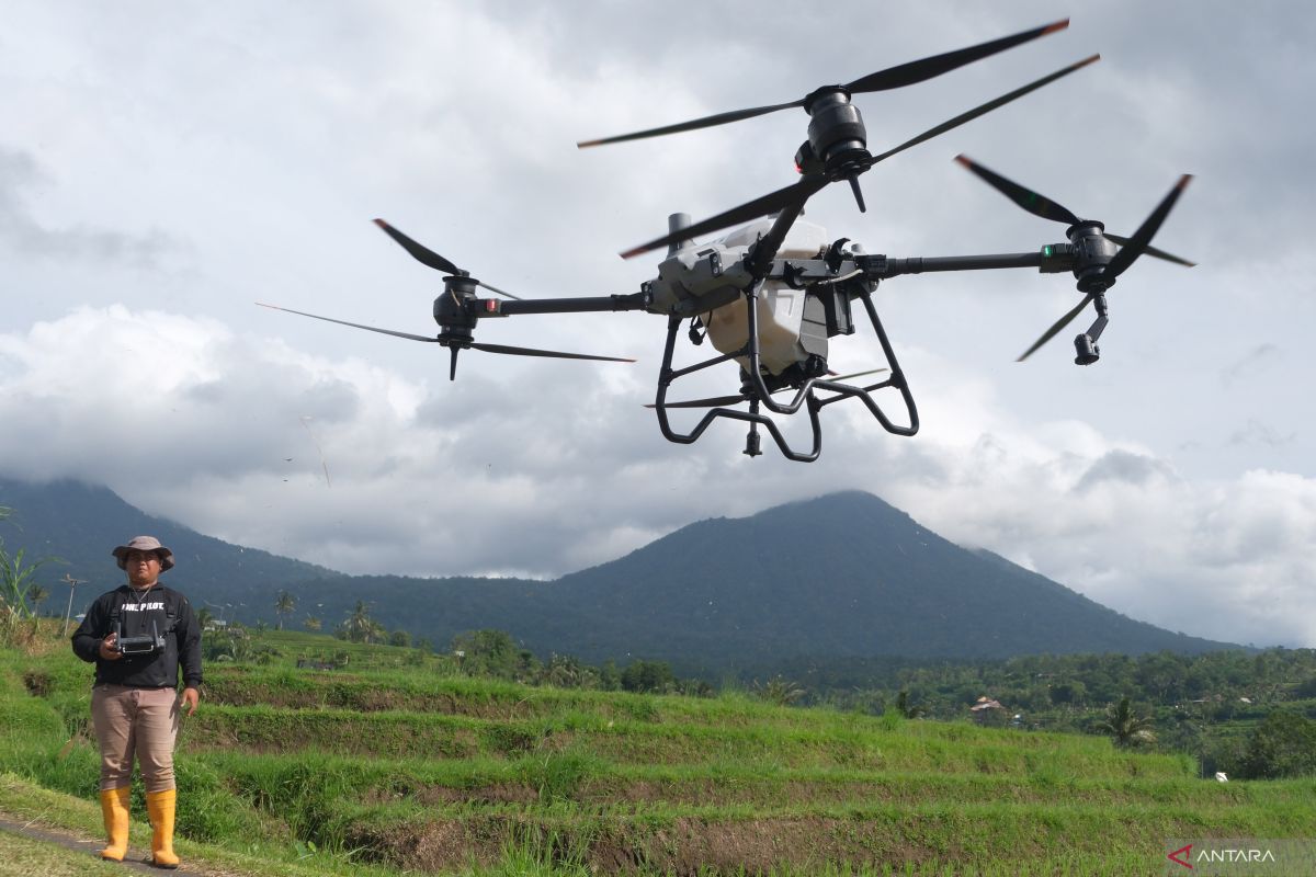 Maintaining Food Security by Cultivating a Love for Farming in the Younger Generation