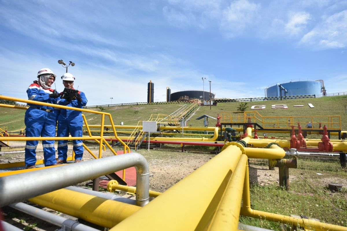 Pertamina records 1,321 BOPD production from LLA-6 development well