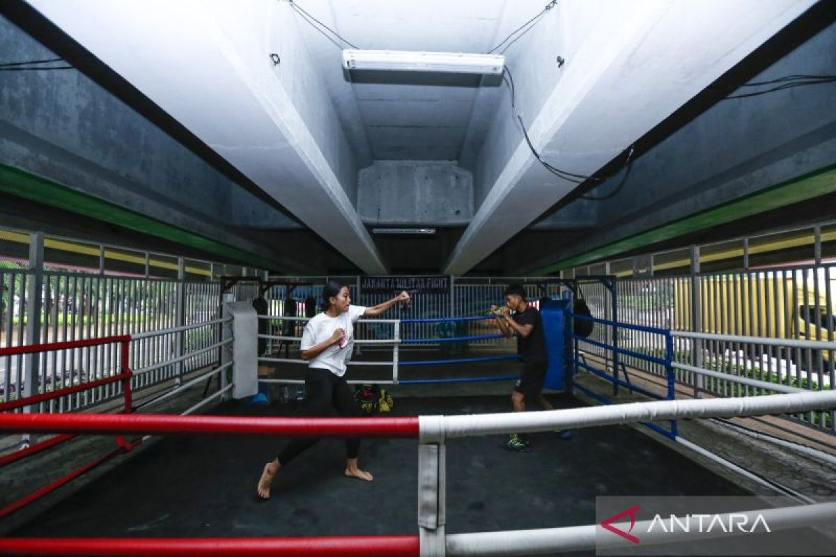 To Reduce Street Brawls, Pramono to Expand Boxing Rings in Jakarta
