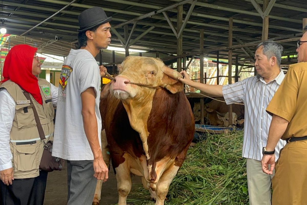 South Sumatra receives 18 sacrificial cows as aid from President Prabowo
