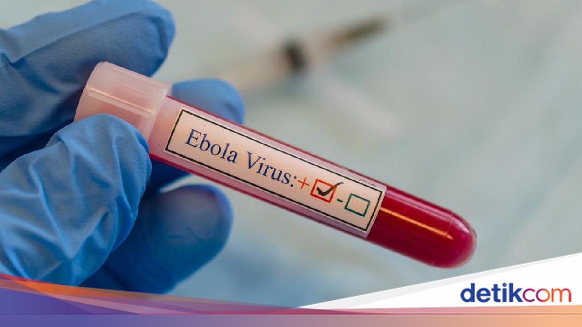 US Citizen Infected with Ebola in the DRC, Airport Screening Tightened