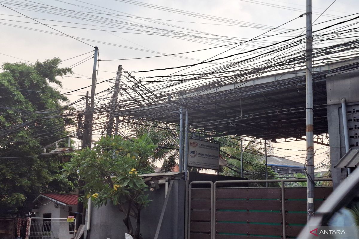 PLN Watch: Internet service providers must not use PLN poles without permission