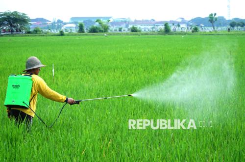 Rupiah Weakness Triggers Surge in Non-Subsidised Fertiliser Prices