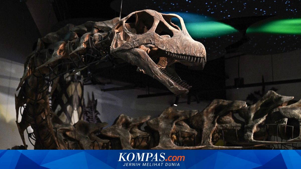 Largest dinosaur in Southeast Asia discovered in Thailand, weighing as much as nine elephants