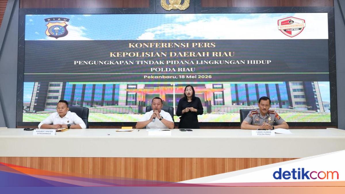 Palm Oil Company in Riau Damaging Riverbanks Faces Up to 10 Years' Imprisonment