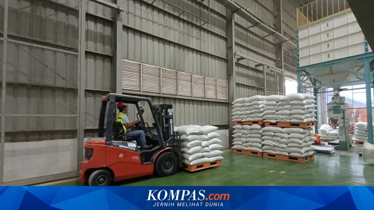 Government Rice Stock Reaches 5.3 Million Tonnes, Bulog Proposes Additional Distribution