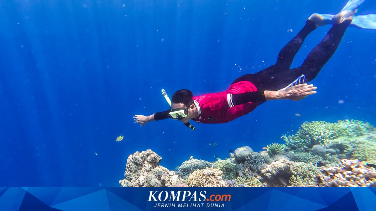 Maritime tourism in Bali now safer as tourists gain access to instant insurance options