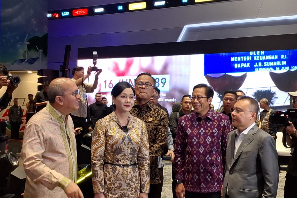 Danantara CEO: Indonesian Banking Stocks Still Below Fair Value
