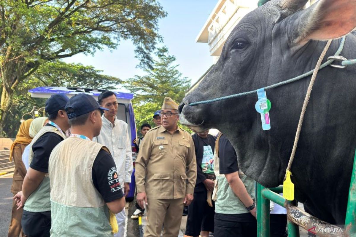 President Prabowo buys cow owned by Bandung resident for Eid al-Adha sacrifice
