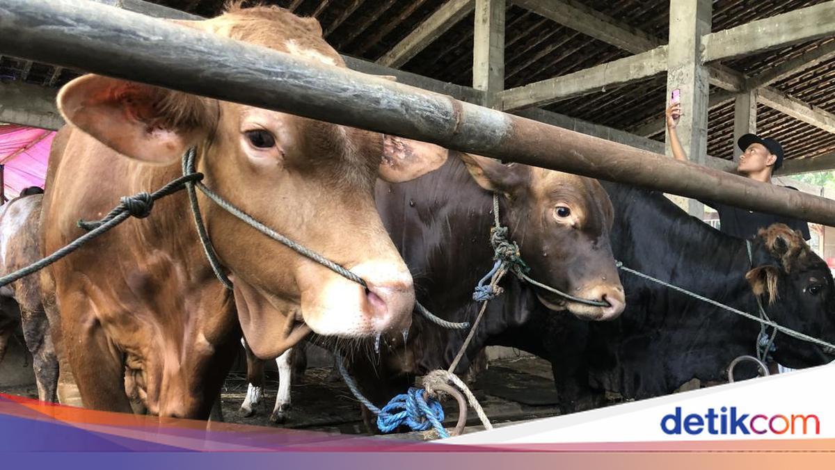 Regulations on the Location for Slaughtering Sacrificial Animals During Eid al-Adha