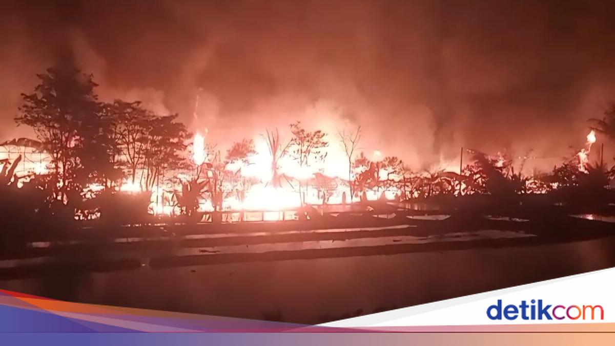 Bogor Poultry Farm Fire in Early Hours Kills 60,000 Day-Old Chicks and 13 Sheep