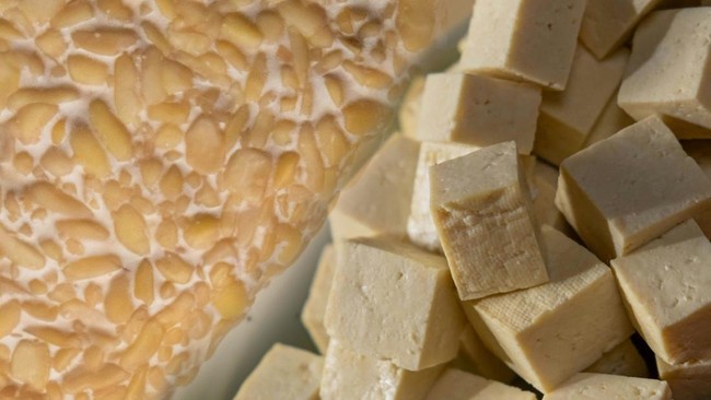 Tempe vs Tofu: Which Is More Nutritious and Healthiest to Consume?