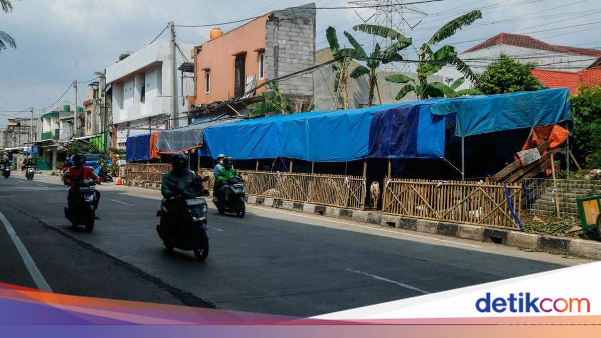 Jakarta's Satpol PP to Clamp Down on Sidewalks Occupied by Eid al-Adha Animal Sellers