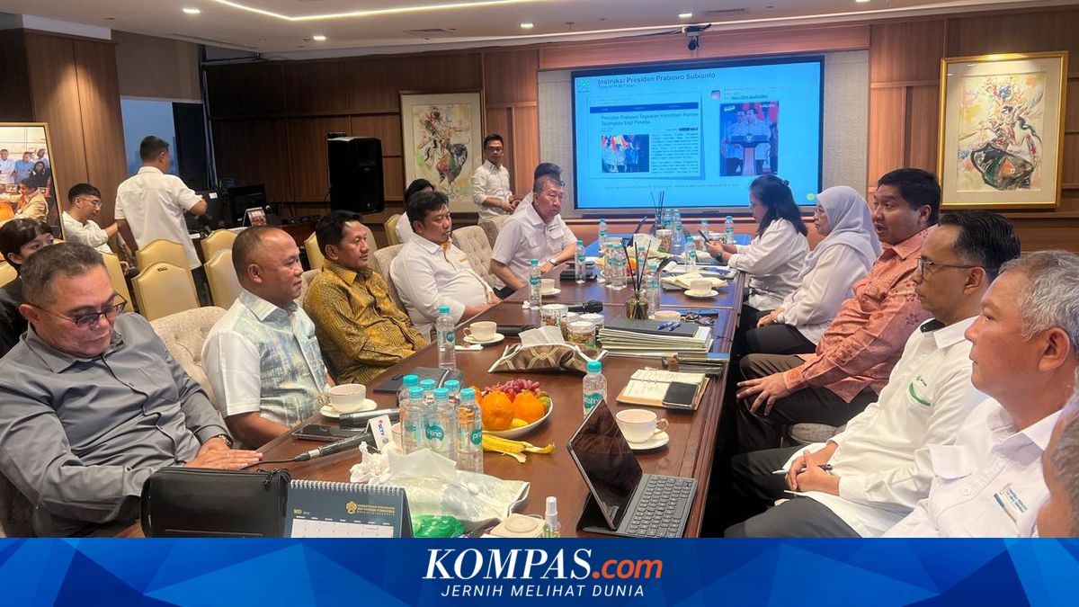 Ara Introduces 'One House, One Tree' Rule; Developers Say Residents End Up Opening Kiosks