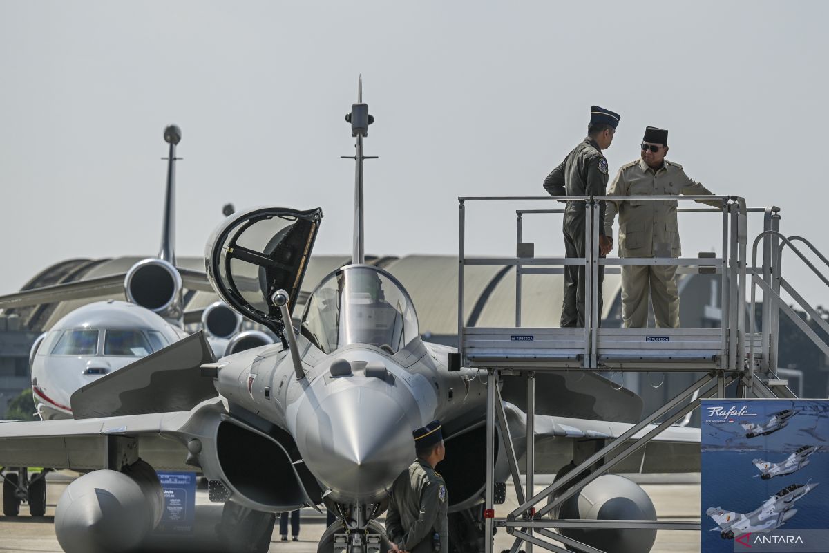 Analyst says Rafale operations must be supported by domestic defence industry