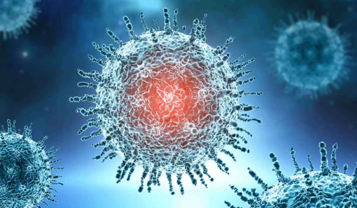 Understanding Hantavirus: Symptoms, Transmission Routes, and Pandemic Risk