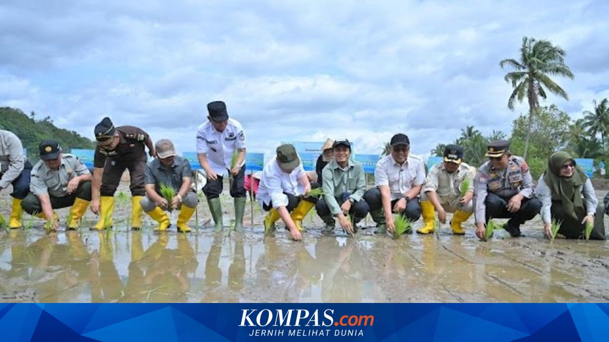 Post-disaster Paddy Field Rehabilitation Accelerated, More than 2,000 Hectares Restored in Two Weeks