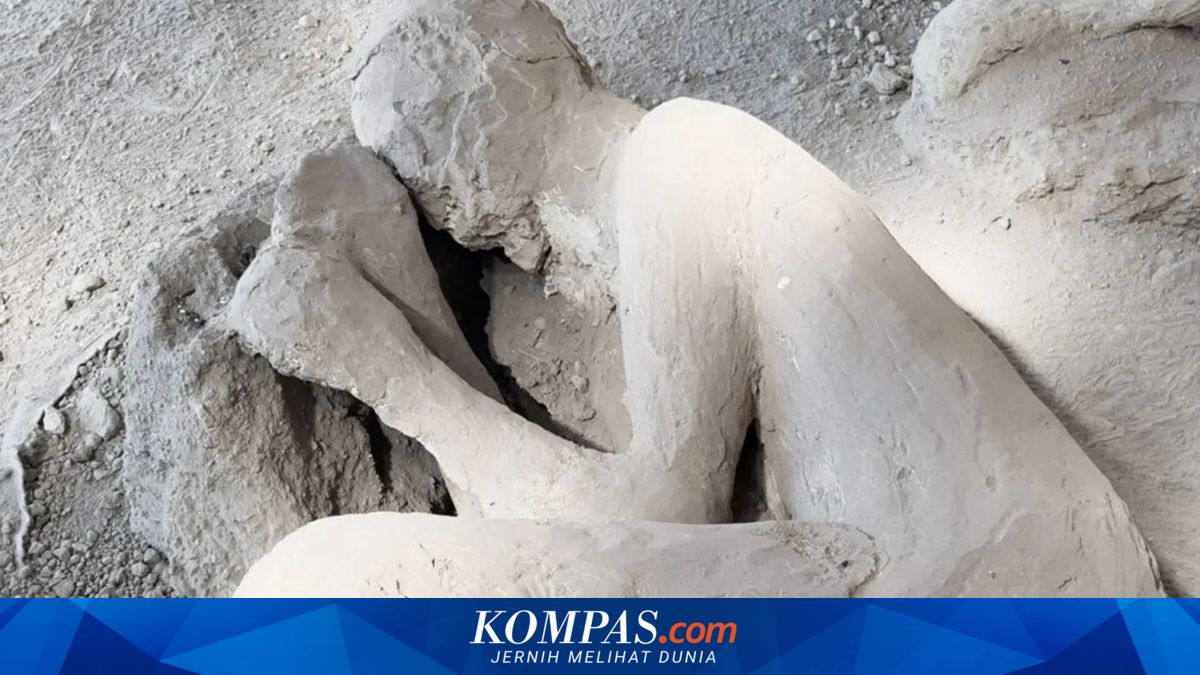 Using CT Scans, Scientists Reveal Pompeii Eruption Victim Was a Doctor
