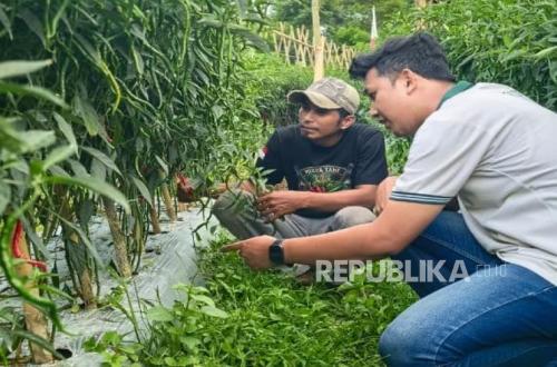 Farmers in West Java Brace for the Dry Season